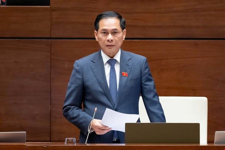 Phó Thủ tướng Bùi Thanh Sơn: Luật Thương mại điện tử phải vừa kiến tạo phát triển, vừa bảo vệ người tiêu dùng- Ảnh 1.