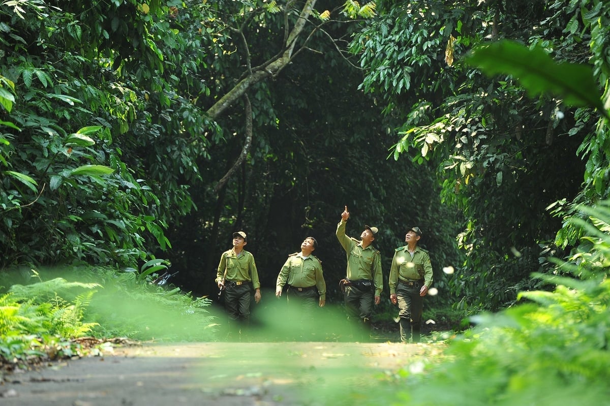 Cán bộ kiểm lâm đi kiểm tra công tác bảo vệ rừng tại vườn quốc gia Cúc Phương. Ảnh: Cục Lâm nghiệp và Kiểm lâm.