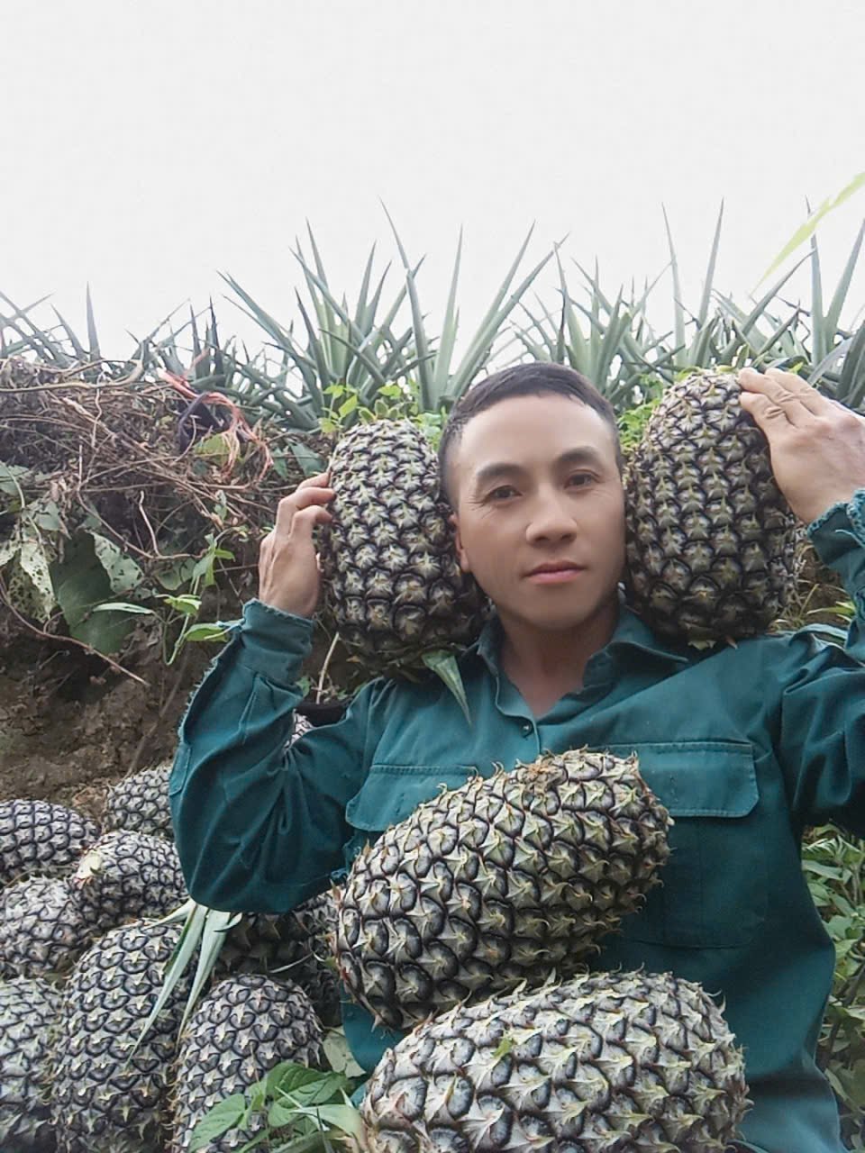 Thành viên Hợp tác xã Dứa Mường Nhà thu hoạch dứa Cayenne - cây trồng đang giúp nhiều hộ dân địa phương thoát nghèo. Ảnh: Hoàng Châu.