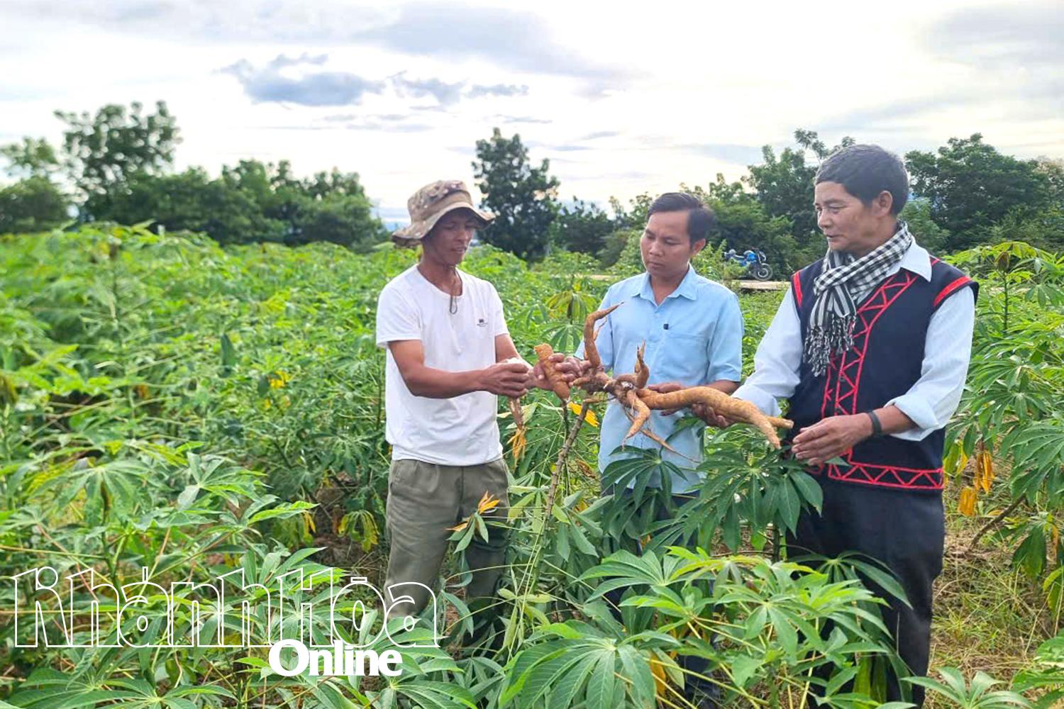 Cán bộ Trung tâm học tập cộng đồng xã Bác Ái (giữa) trao đổi, hướng dẫn kỹ thuật sản xuất cho nông dân.