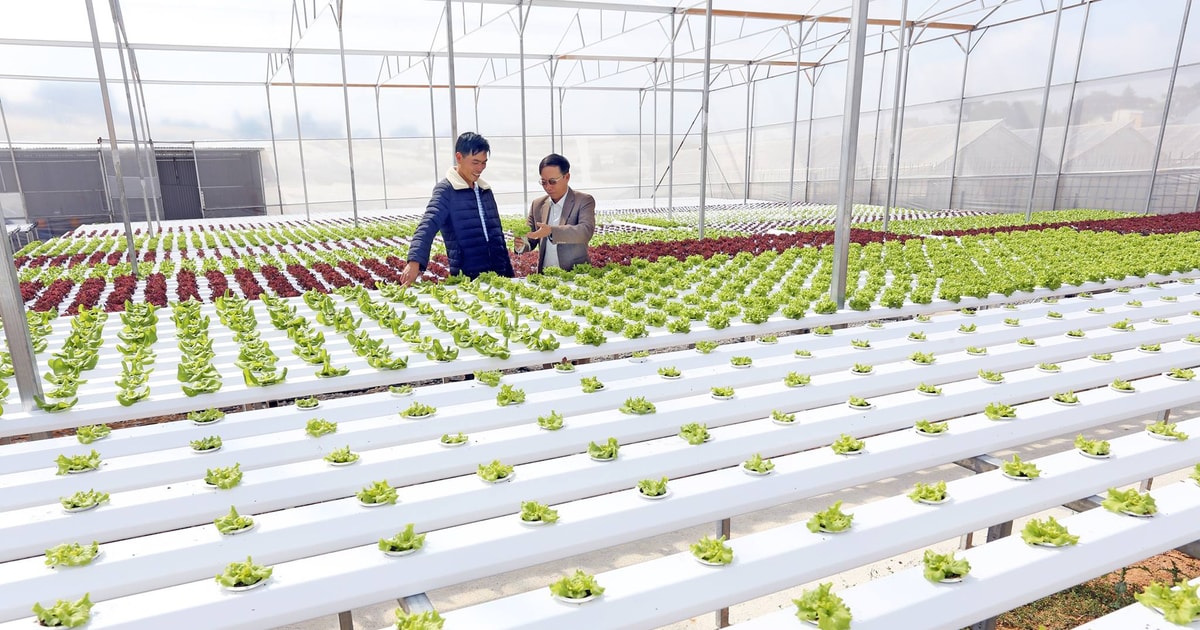 Ngành nông nghiệp rộng mở cơ hội phát triển