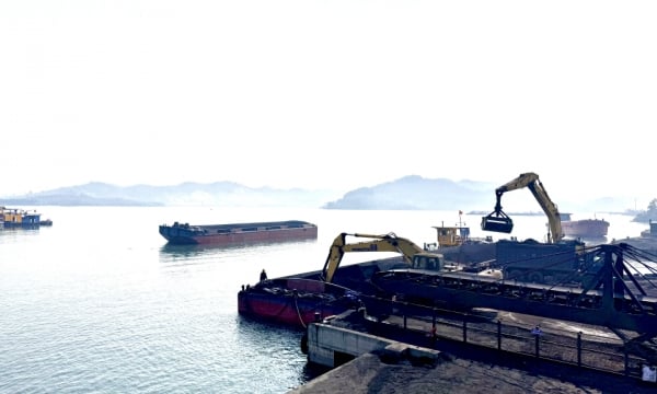 TKV thúc đẩy kế hoạch nhập khẩu than, đảm bảo an ninh năng lượng