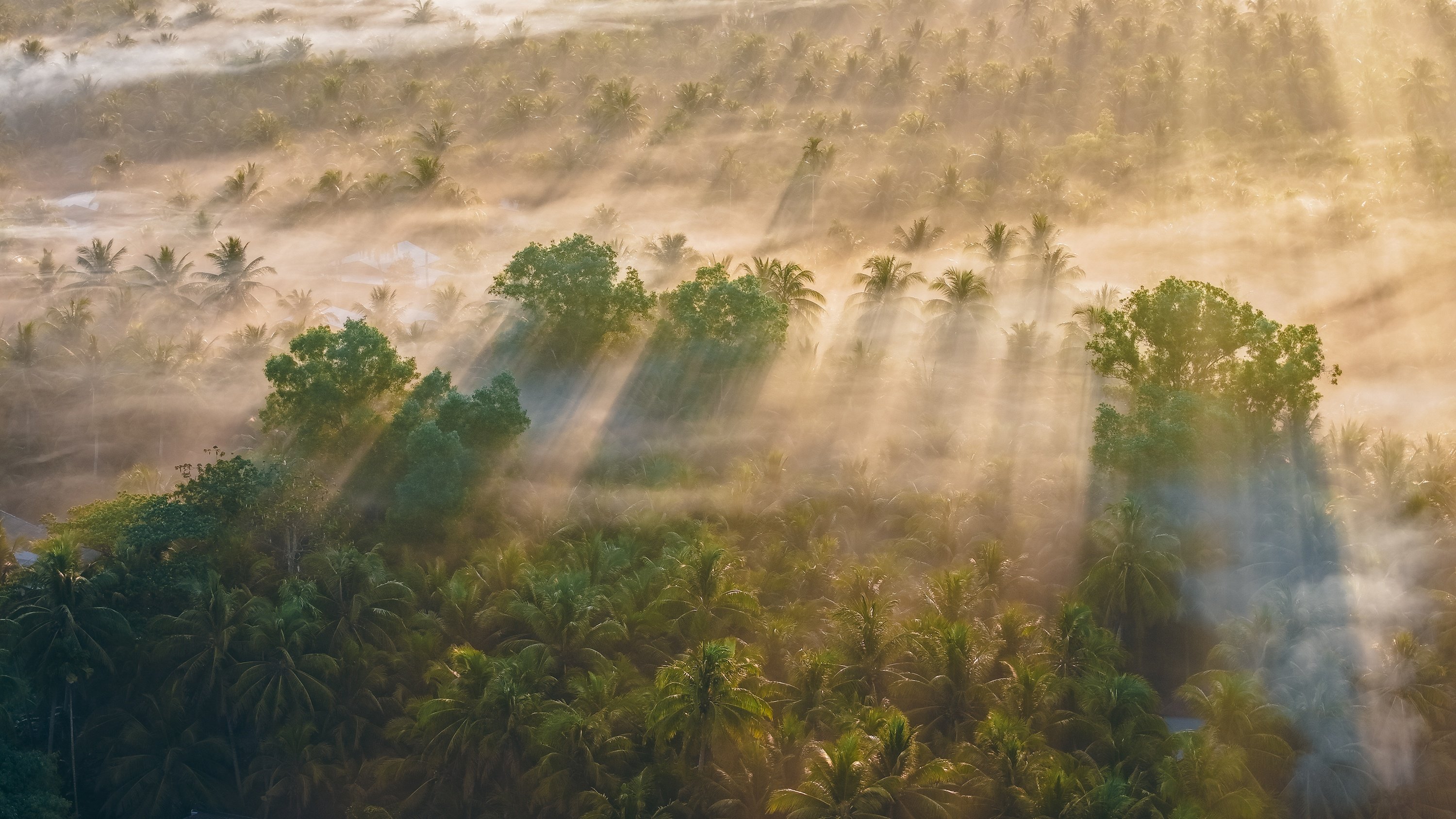 Tra Vinh, foto 6 Tra Vinh anh 6