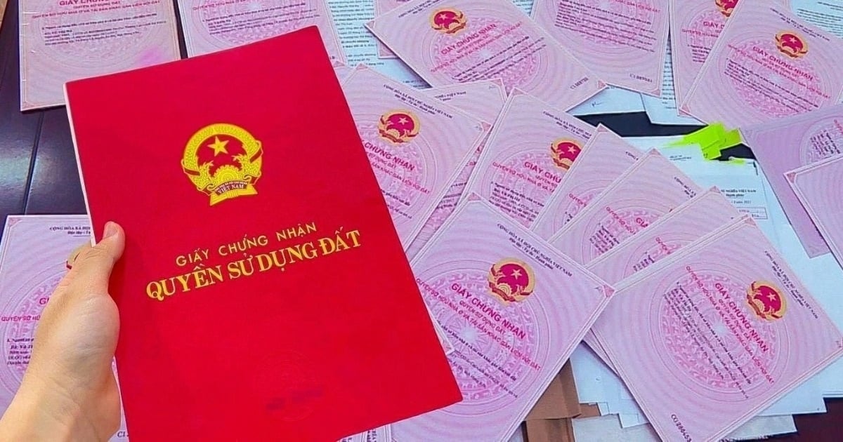 Hướng dẫn cách khai báo thông tin sổ đỏ qua VNeID