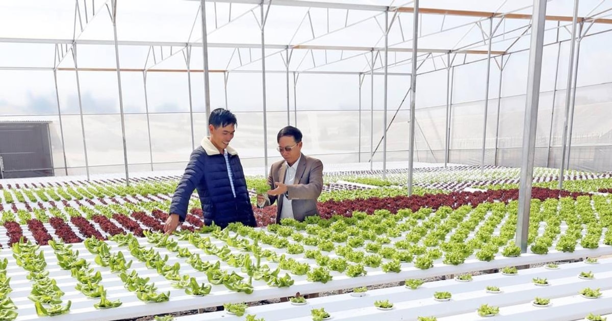 Ngành nông nghiệp Lâm Đồng rộng mở cơ hội phát triển