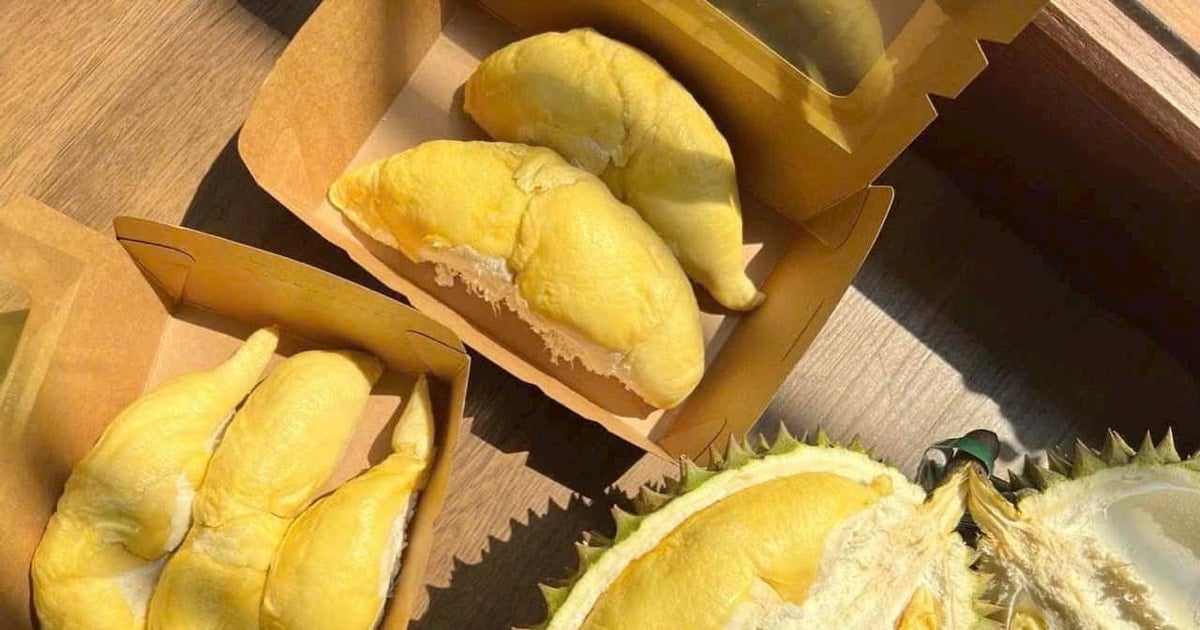 Giá sầu riêng hôm nay 14/11: Đồng Tháp tăng mạnh gần 10.000 đồng/kg