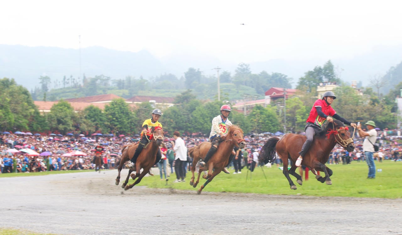 ב-15 בנובמבר נפתחה התוכנית רשמית עם טורניר מרוצי סוסים השבועי.