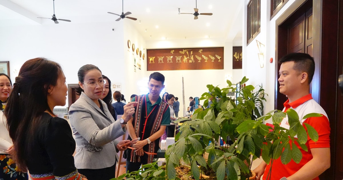 Xúc tiến, quảng bá du lịch Đà Nẵng thành điểm đến quốc tế