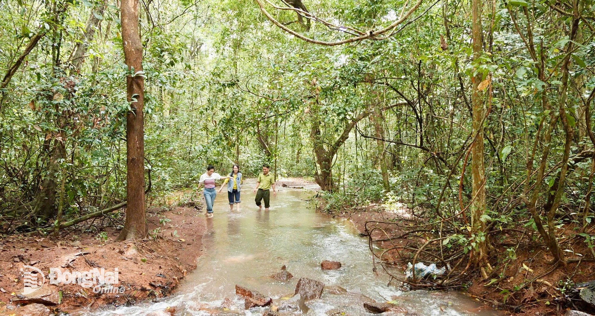 Dl. Le Nhat Minh Quan, paznicul silvic al Rezervației Naturale și Culturale Dong Nai, le prezintă pădurea virgină de aici lui Minh Tuyet și lui Dieu Hien. Fotografie: Tien Dung.