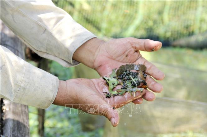 ছবির ক্যাপশন