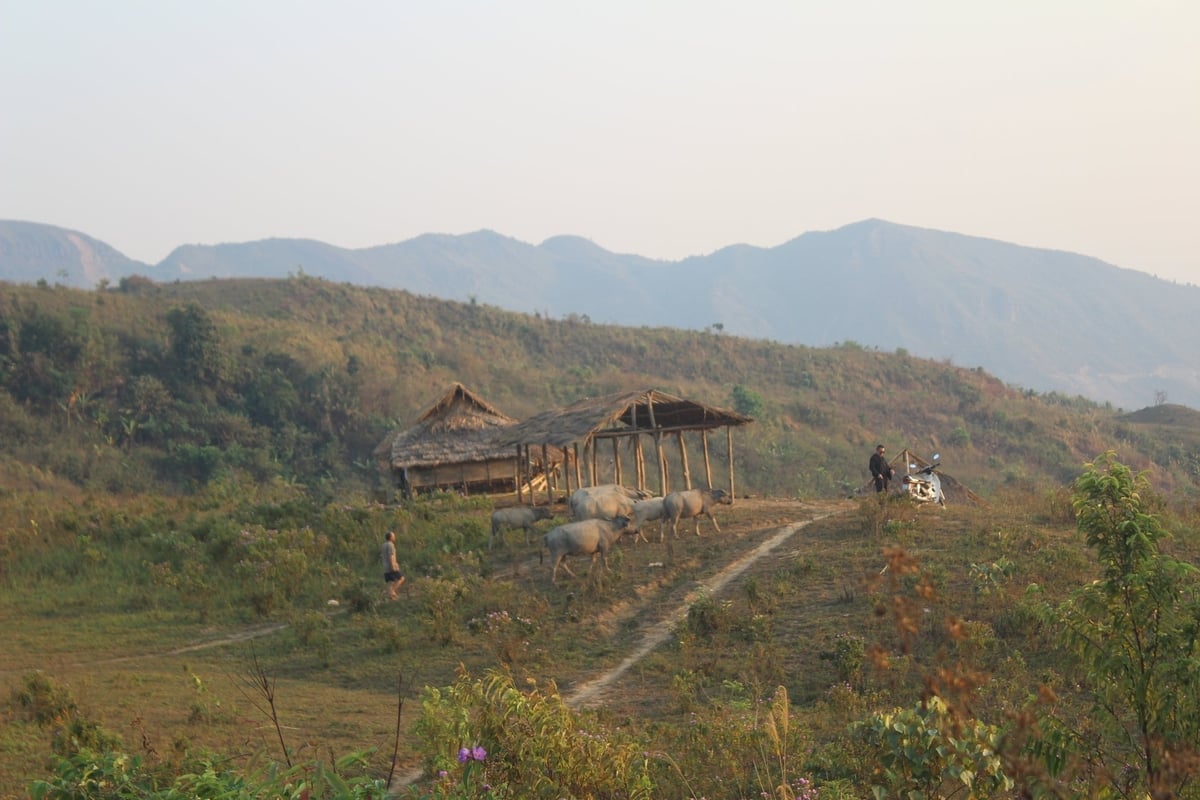 Délután a Pu Ca csúcson. Fotó: Hoang Chau.