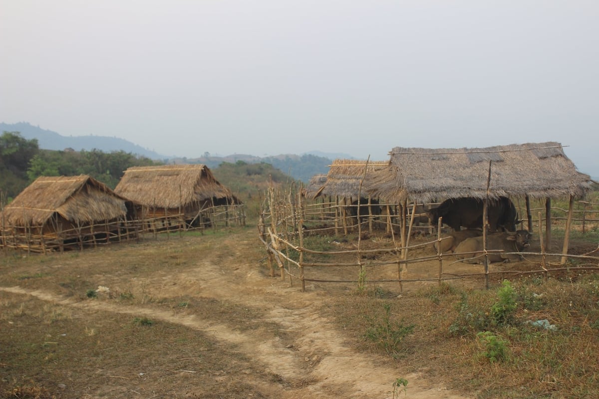 Nádfedeles házak a Pu Ca tetején. Fotó: Hoang Chau.