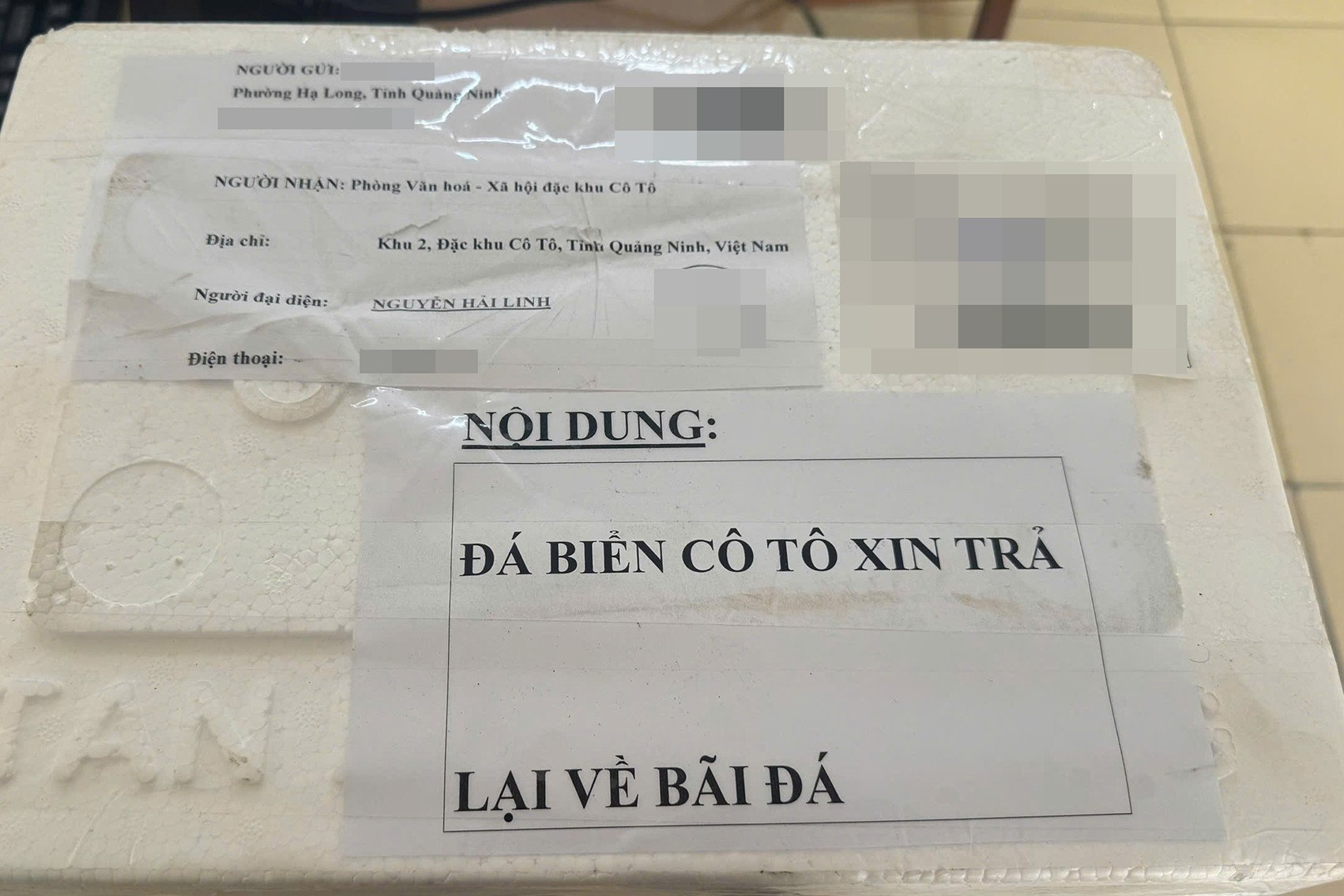 a5effdca fed7 4c7d aec6 6633c8297283.jpeg