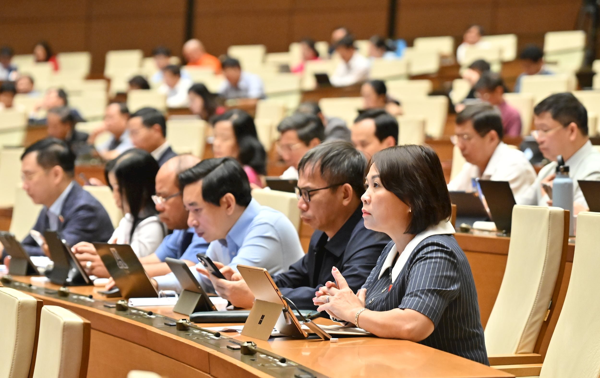 Afgevaardigden op de vergaderingVQK_1431