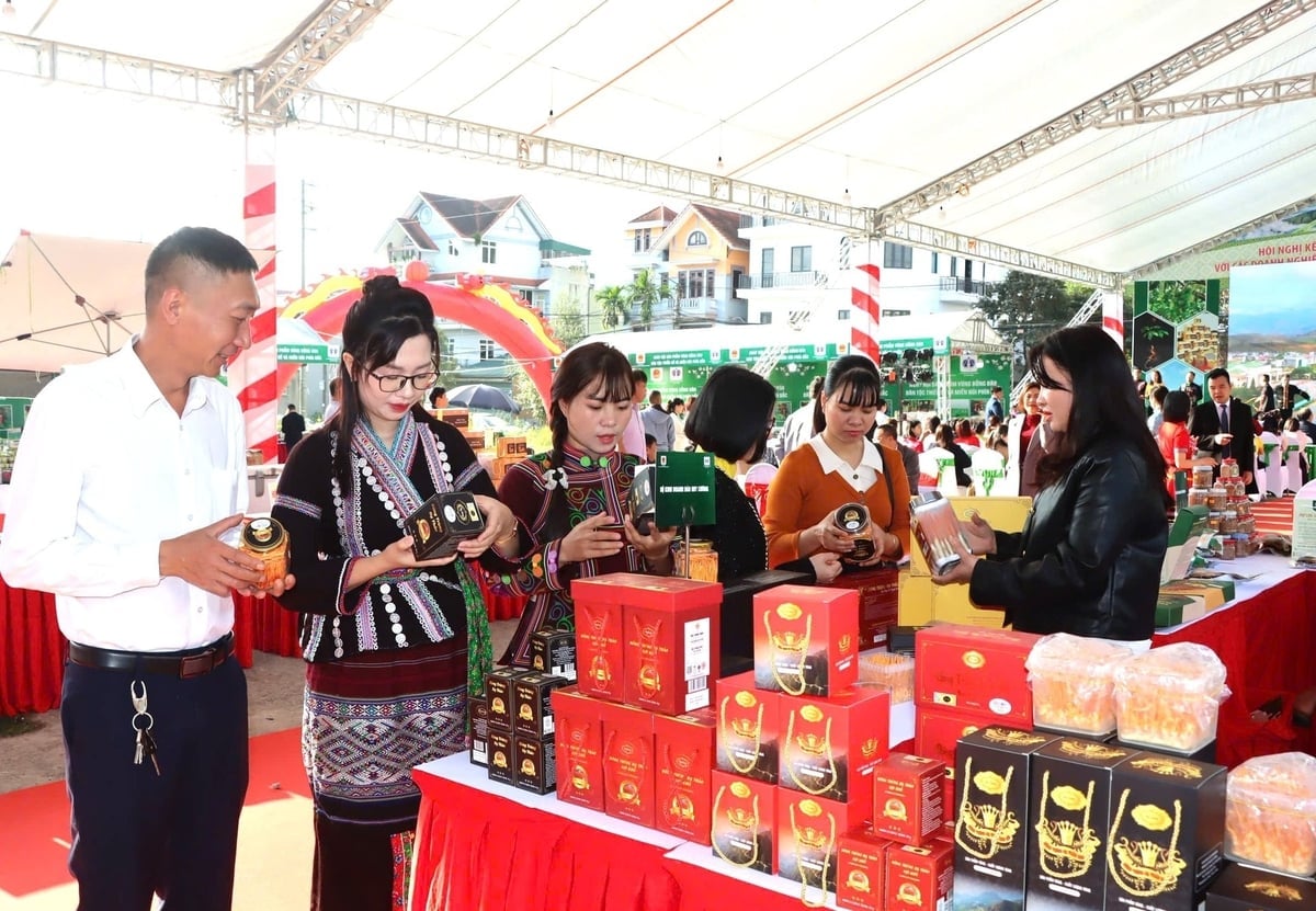 Các sản phẩm trưng bày, bán, kết nối tiêu thụ tại Ngày hội. Ảnh: Cục Quản lý và PT thị trường trong nước.
