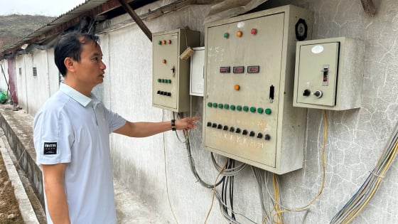 Chuyển đổi số: Đòn bẩy hiện đại hóa ngành chăn nuôi Thái Nguyên