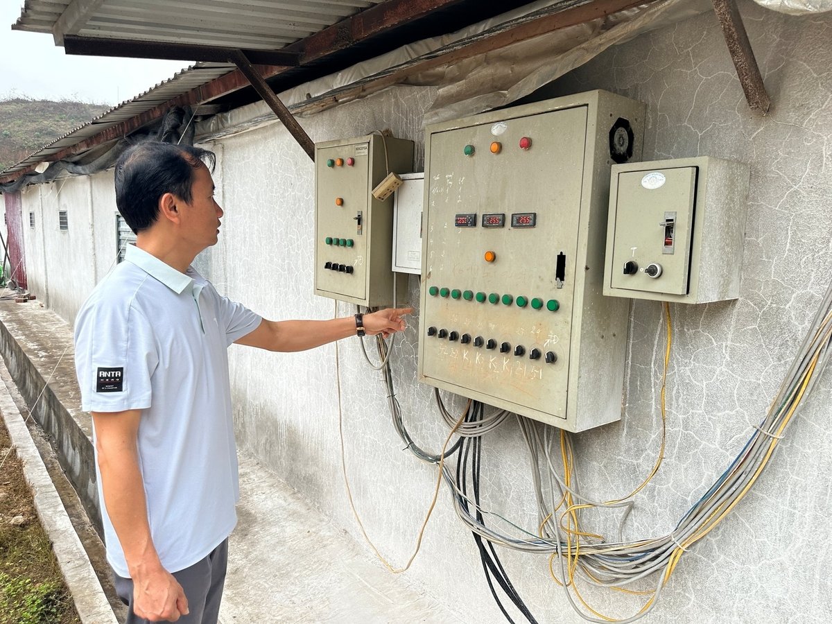 Quy trình chăn nuôi được tự động hóa giúp anh Nguyễn Hồng Phong tiết kiệm chi phí. Ảnh: Quang Linh.