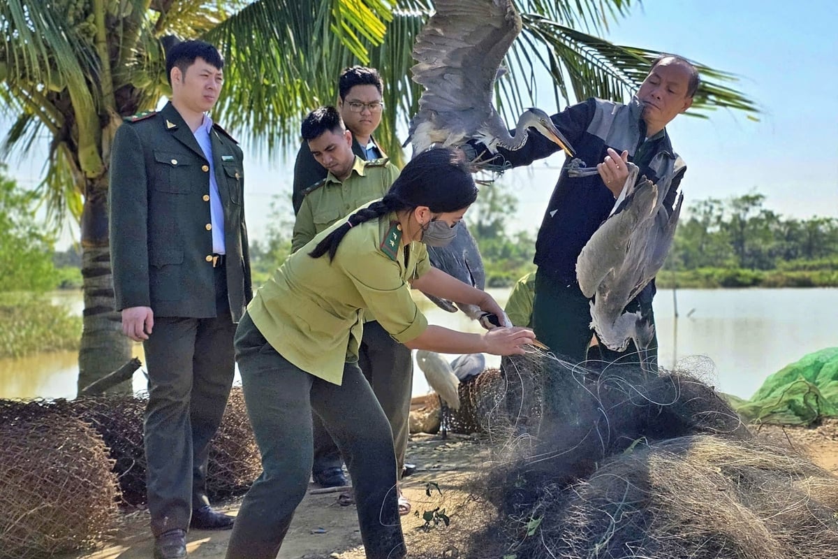 Lực lượng kiểm lâm và công an phối hợp truy quét các điểm nghi giăng bẫy chim hoang dã. Ảnh: Chi cục Kiểm lâm Thanh Hóa.