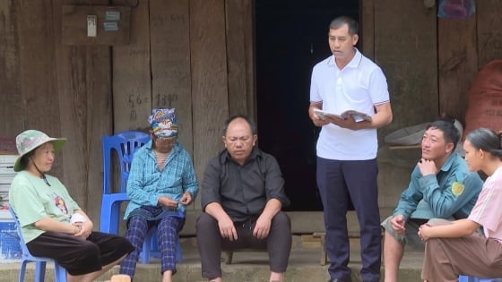 Giữ rừng ở vùng đệm Vườn Quốc gia Hoàng Liên