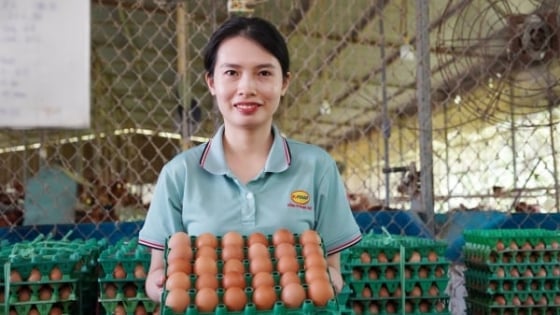 Doanh nghiệp Việt tiên phong sản xuất trứng gà lỏng thanh trùng chuẩn nhân đạo