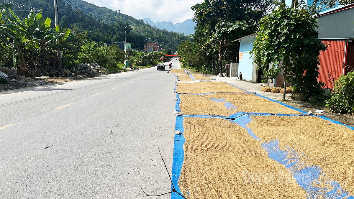 Đá được chèn vào bạt phơi thóc gây nguy hiểm cho người tham gia giao thông tại thôn Nà Hán, xã Yên minh