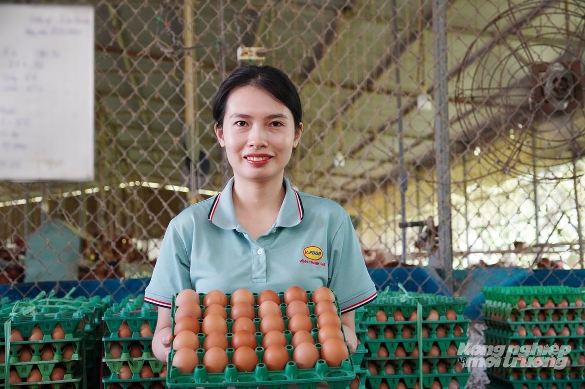 Xu hướng gia tăng các sản phẩm từ trứng gà lỏng thanh trùng đạt chuẩn nhân đạo. Ảnh: Nguyễn Thủy.