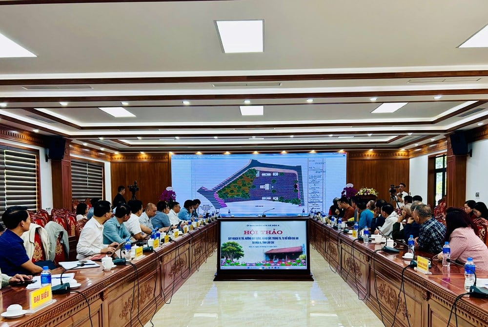 Bảo tồn di sản gắn với phát triển văn hóa – du lịch - ảnh 5