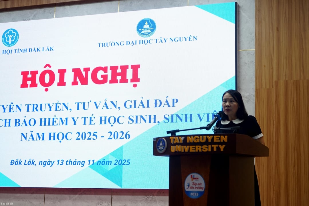 អនុប្រធានមន្ទីរធានារ៉ាប់រងសង្គមខេត្ត Dam Thi Thanh Que បានជម្រាបជូនអំពីគោលនយោបាយធានារ៉ាប់រងសុខភាពនៅសន្និសីទ។