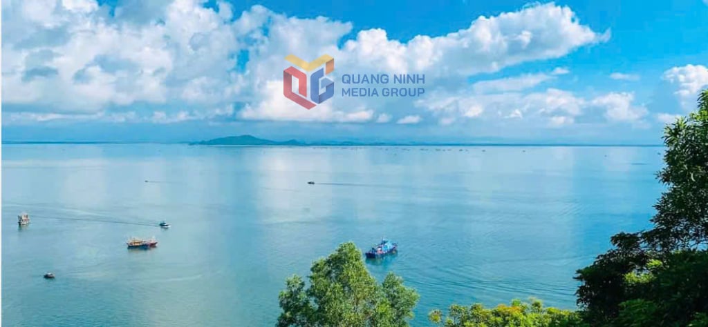 Từ đầu năm đến nay, sản lượng thuỷ sản tại xã Vĩnh Thực đạt hơn 1.500 tấn