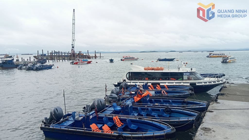 Cảng Vạn Gia góp phần thúc đẩy phát triển kinh tế-xã hội của xã Vĩnh Thực