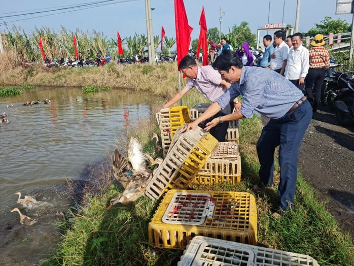 CLIP: Rộn ràng trò chơi thi bắt vịt mùa nước nổi ở An Giang - Ảnh 4.
