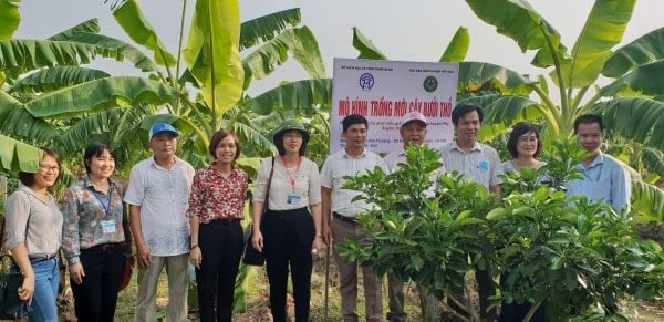 18 Mei 2021-buoi-tho6001-1-1.jpg