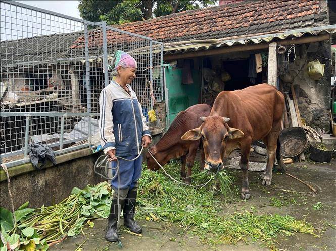 मुझे आप पर विश्वास है