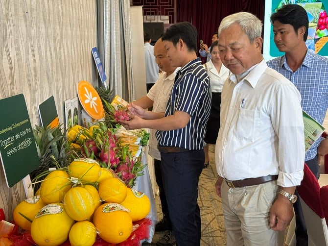 Các đại biểu tham quan gian trưng bày sản phẩm tại hội thảo.