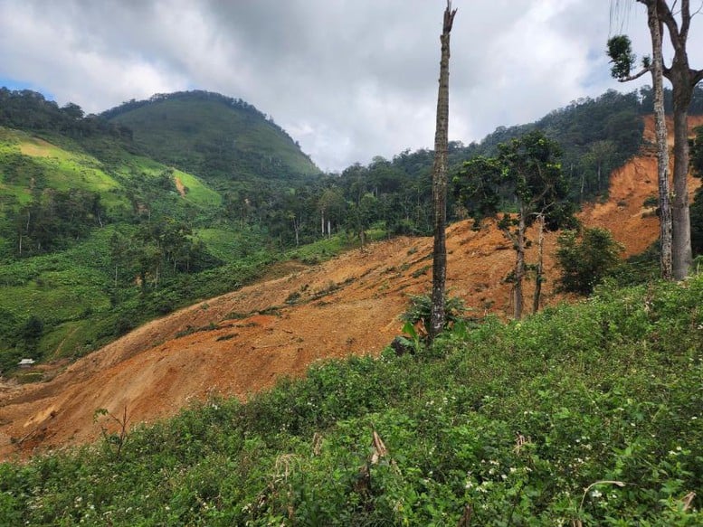 Đà Nẵng: Sạt lở núi ở xã biên giới, sơ tán khẩn cấp hơn 200 người- Ảnh 1.