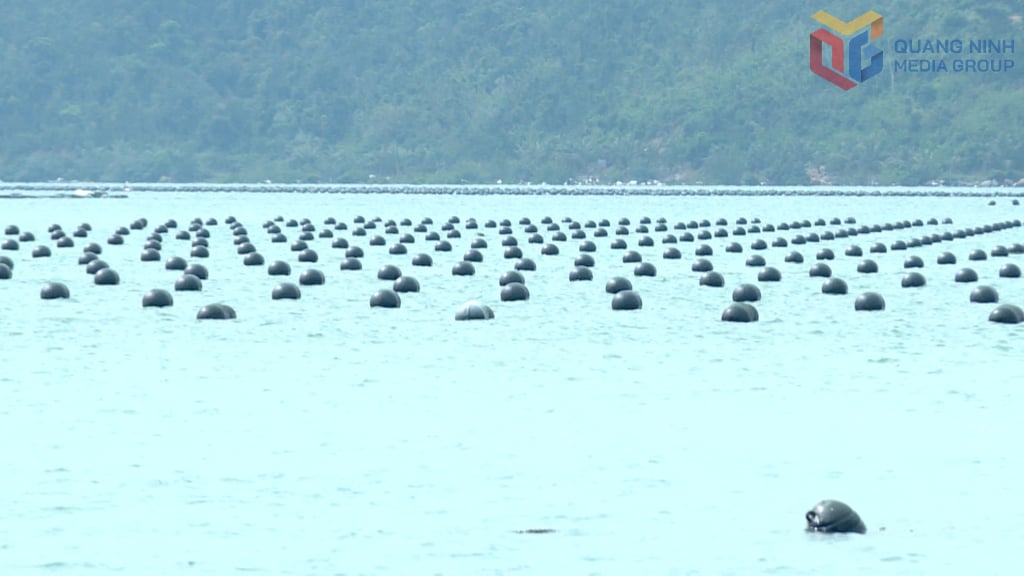 광산 남자친구의 탄생-2.jpg