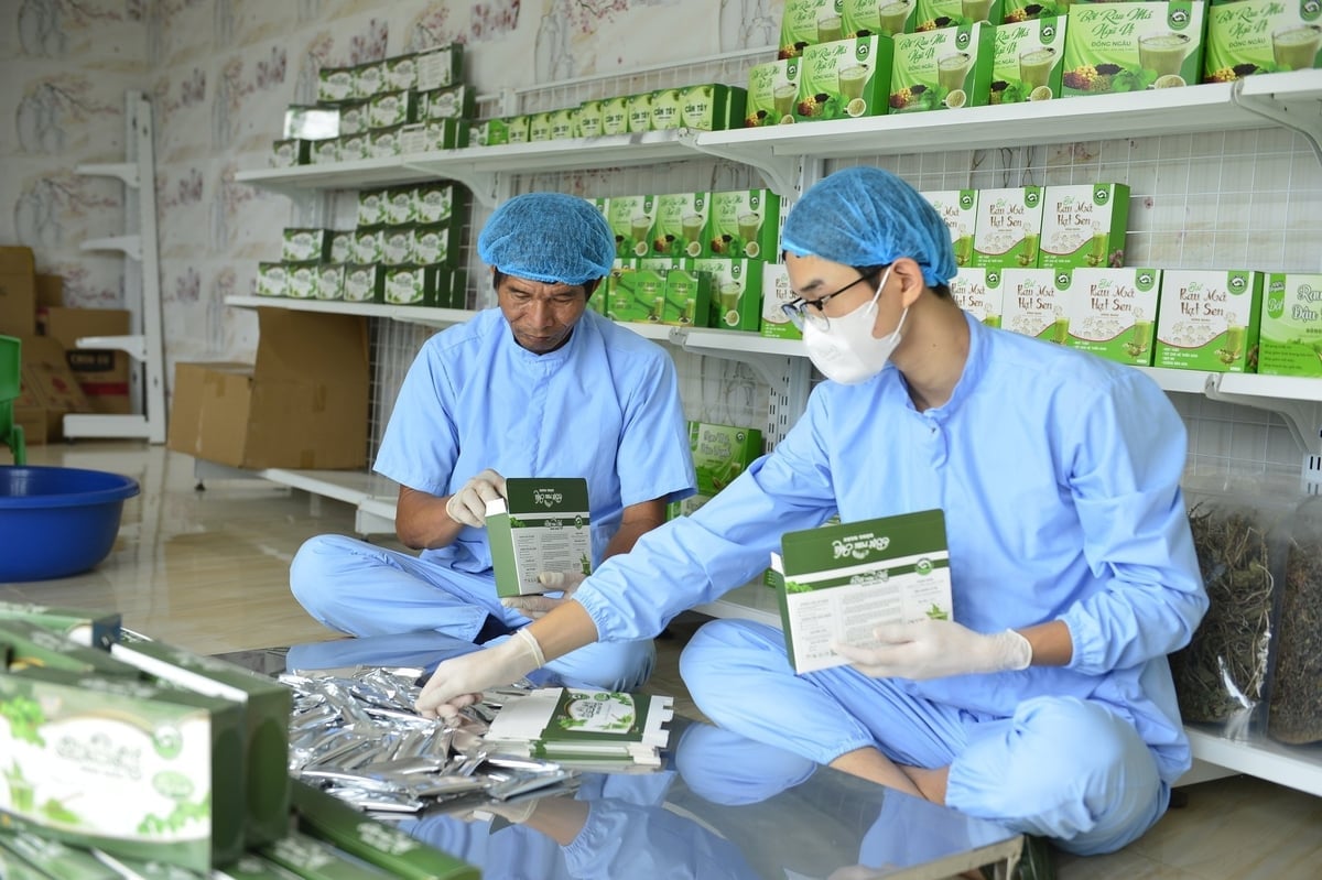 សហករណ៍ Dong Ngau បានបង្កើតផលិតផលចំនួន 5 ពី pennywort ។ រូបថត៖ Thanh Tam។ HTX Đồng Ngâu đã phát triển được 5 sản phẩm từ cây rau má. Ảnh: Thanh Tâm.