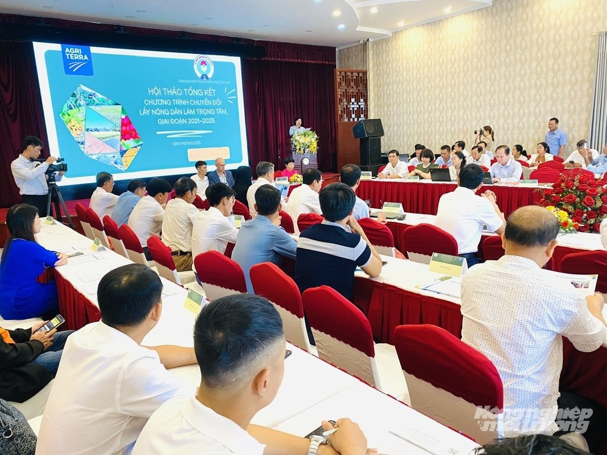 סצנת הסדנה המסכמת את תוכנית Quang cảnh hội thảo tổng kết Chương trình 'Chuyển đổi lấy nông dân làm trọng tâm' (FFT) giai đoạn 2021–2025 do Agriterra và Liên minh HTX Việt Nam tổ chức tại TP Cần Thơ. Ảnh: Lê Hoàng Vũ.