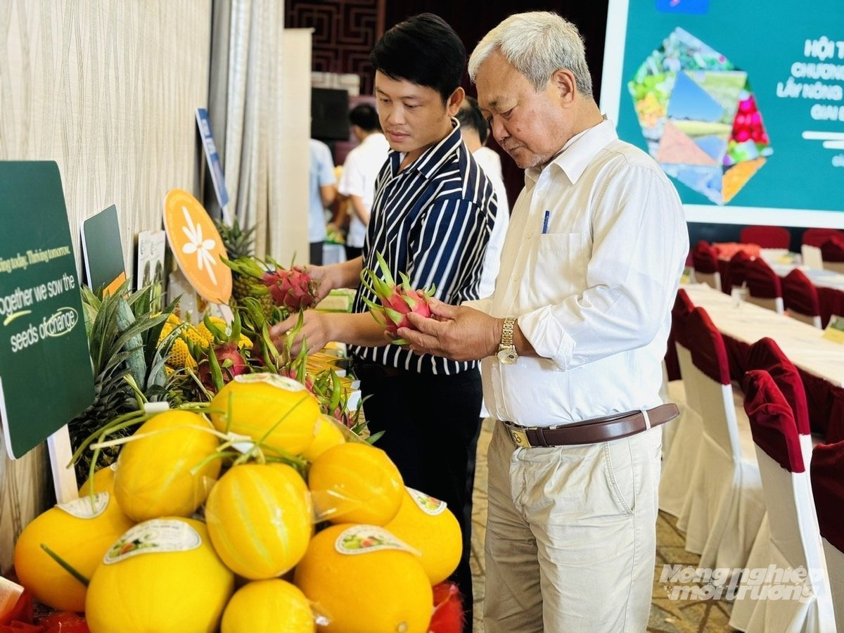 נציגים מבקרים בדוכן המציג תוצרת חקלאית של קואופרטיבים, ומדגימים את המאמצים לשיפור איכות המוצרים ולחיבור שווקים במסגרת תוכנית FFT. צילום: לה הואנג וו. Đại biểu tham quan gian hàng trưng bày nông sản của các HTX, minh chứng cho sự nỗ lực nâng cao chất lượng sản phẩm và kết nối thị trường trong khuôn khổ chương trình FFT. Ảnh: Lê Hoàng Vũ.
