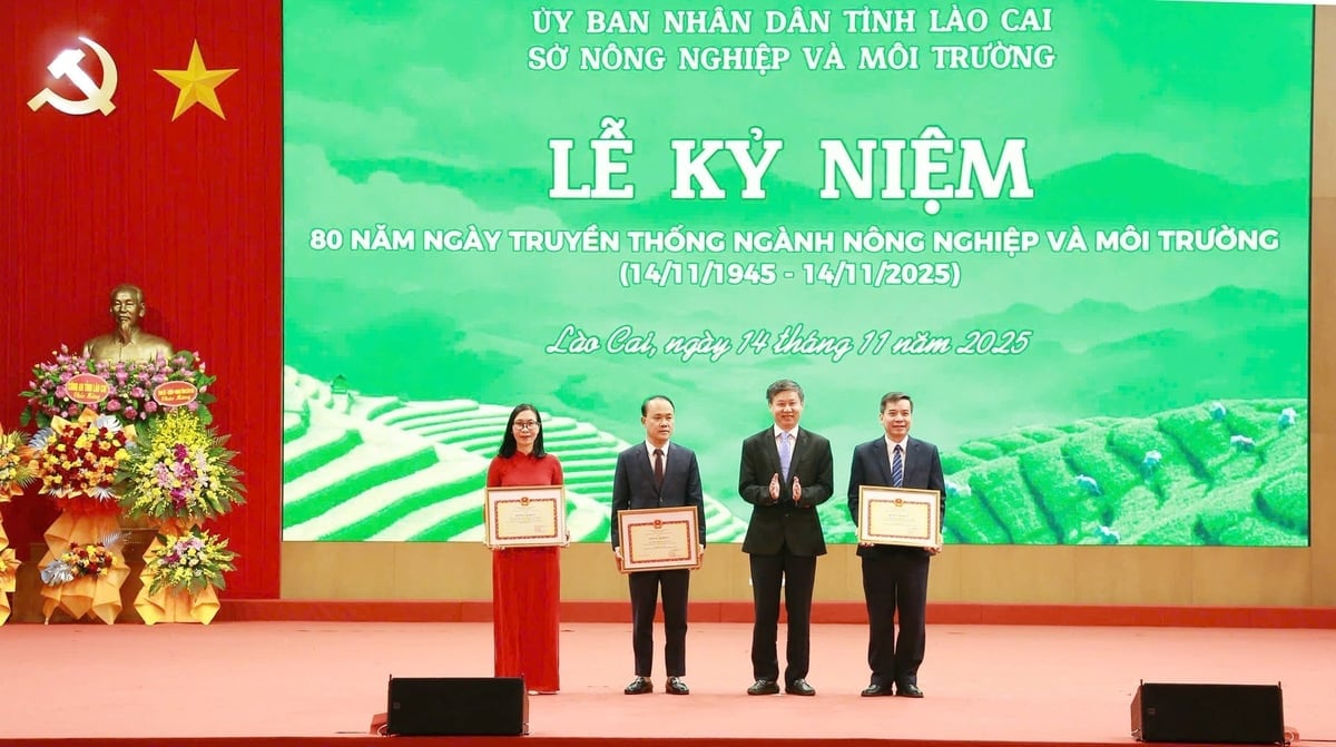 3 tập thể của tỉnh Lào Cai được nhận Bằng khen của Bộ trưởng Bộ Nông nghiệp và Môi trường vì có nhiều đóng góp tiêu biểu cho ngành. Ảnh: Thanh Ngà.