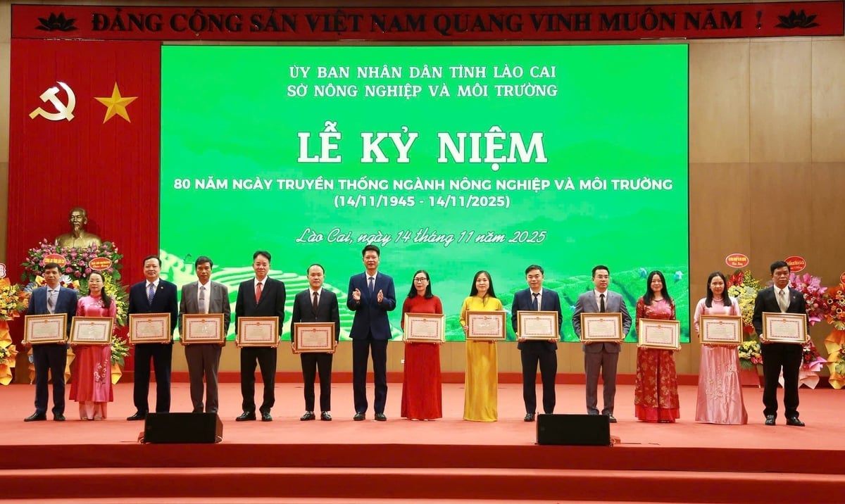 Ông Nguyễn Thế Phước, Phó Chủ tịch Thường trực UBND tỉnh Lào Cai trao tặng Bằng khen của Chủ tịch UBND tỉnh cho các cá nhân có thành tích xuất sắc trong lĩnh vực Nông nghiệp và Môi trường. Ảnh: Thanh Ngà.