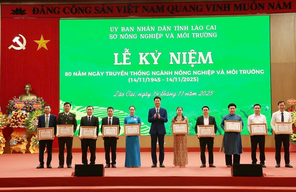 Ông Nguyễn Thế Phước, Phó Chủ tịch Thường trực UBND tỉnh Lào Cai, trao tặng Bằng khen của Chủ tịch UBND tỉnh cho các tập thể có thành tích xuất sắc trong lĩnh vực Nông nghiệp và Môi trường. Ảnh: Thanh Ngà.