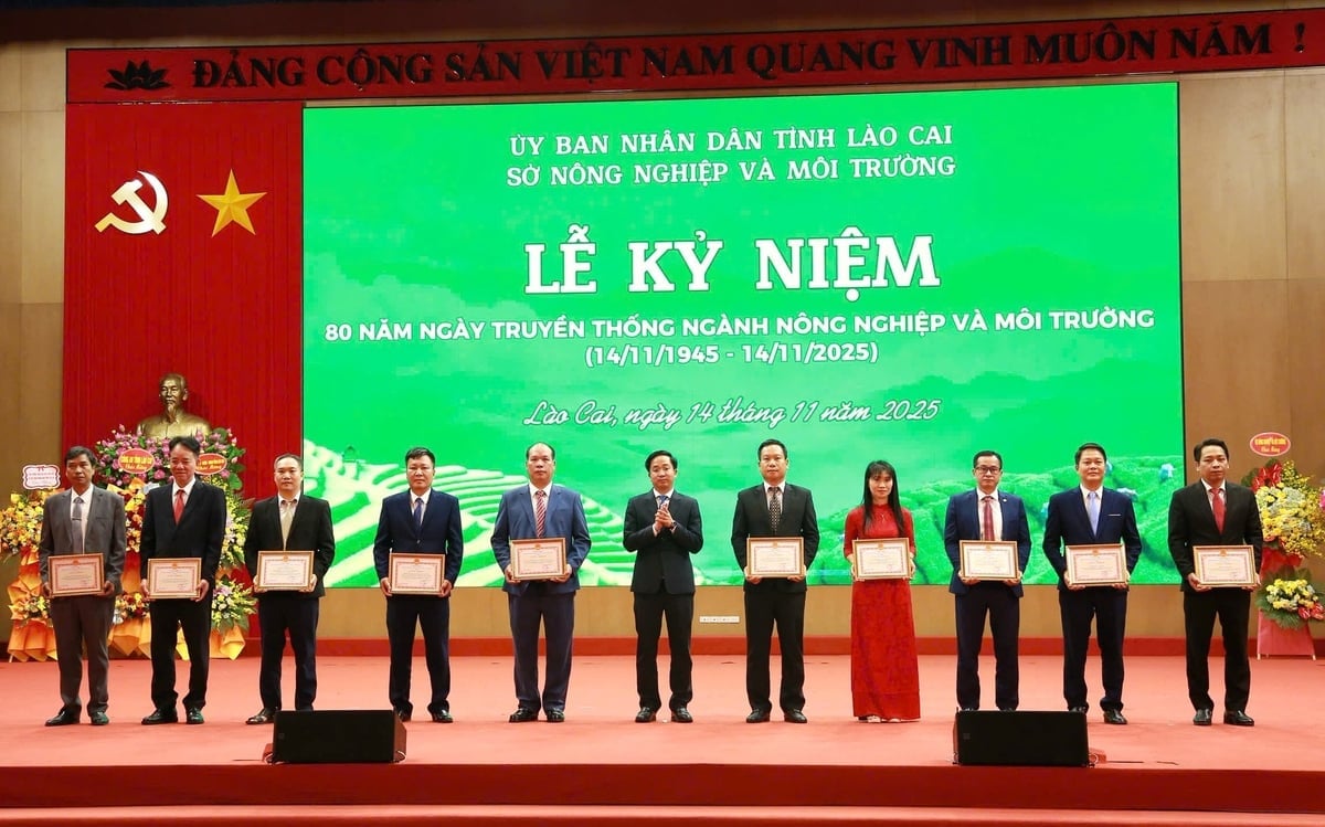 Ông Trần Minh Sáng, Giám đốc Sở Nông nghiệp và Môi trường tỉnh Lào Cai, trao tặng Giấy khen cho các tập thể có nhiều nỗ lực, đóng góp tích cực trong công tác chuyên môn. Ảnh: Thanh Ngà.