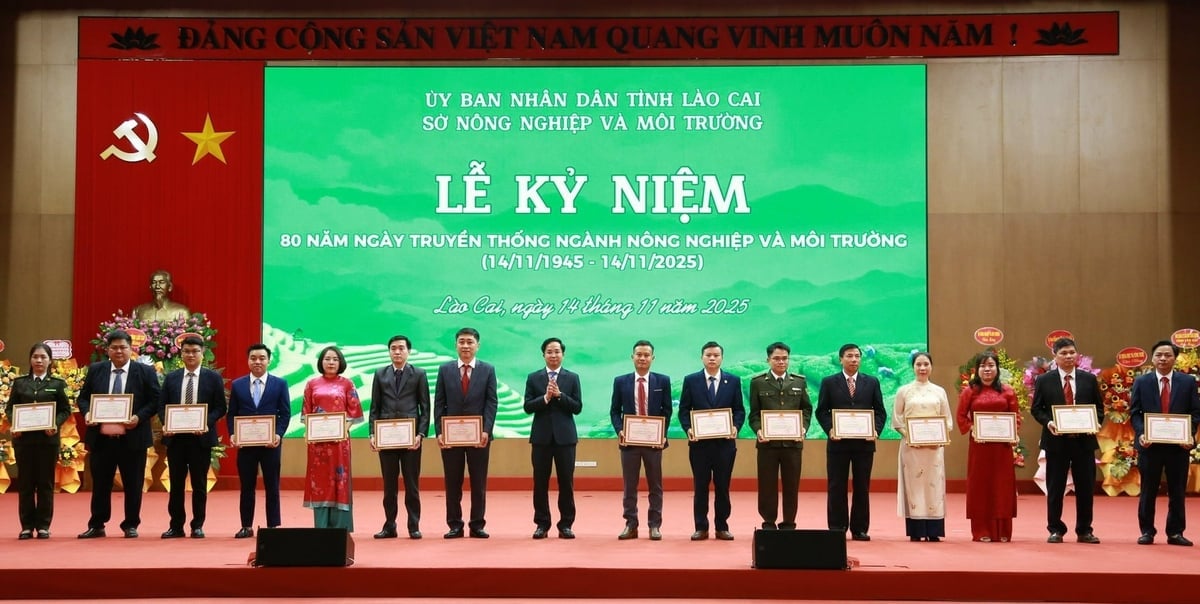 Ông Trần Minh Sáng, Giám đốc Sở Nông nghiệp và Môi trường tỉnh Lào Cai, trao tặng Giấy khen cho các cá nhân có nhiều nỗ lực, đóng góp tích cực trong công tác chuyên môn. Ảnh: Thanh Ngà.