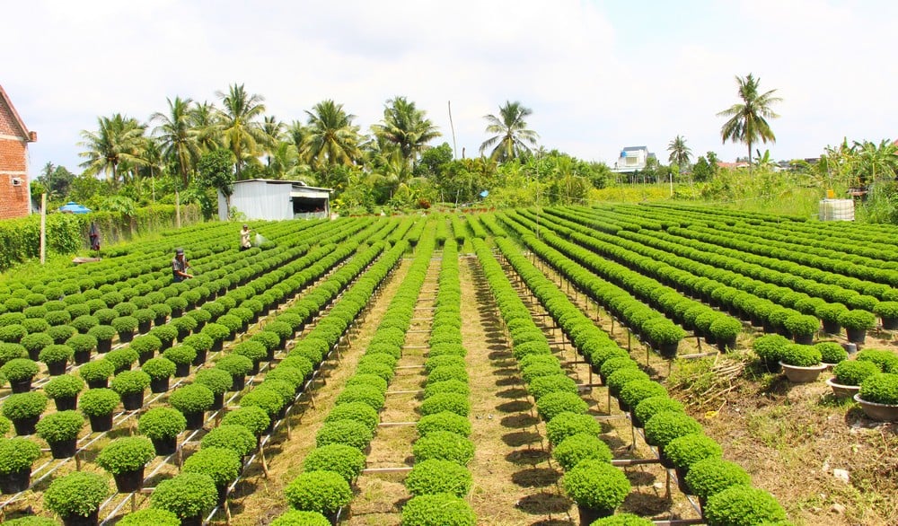 Ngành nông nghiệp cần thúc đẩy chuyển đổi số và ứng dụng công nghệ cao trong nông nghiệp.