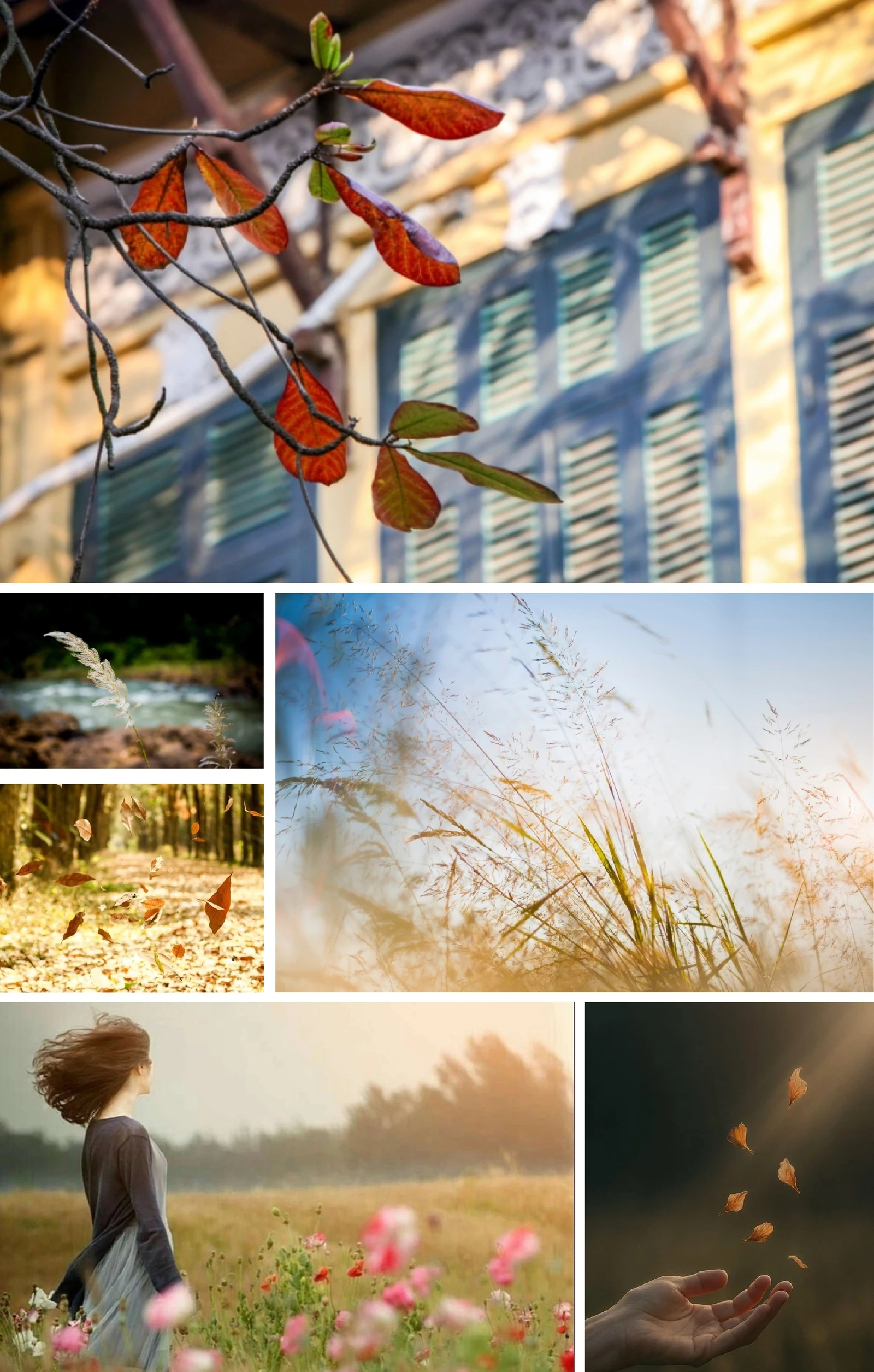 [E-Magazine]: ມີກິ່ນຫອມກັບລະດູການຂອງລົມເຢັນແລະນ້ໍາຕົກ