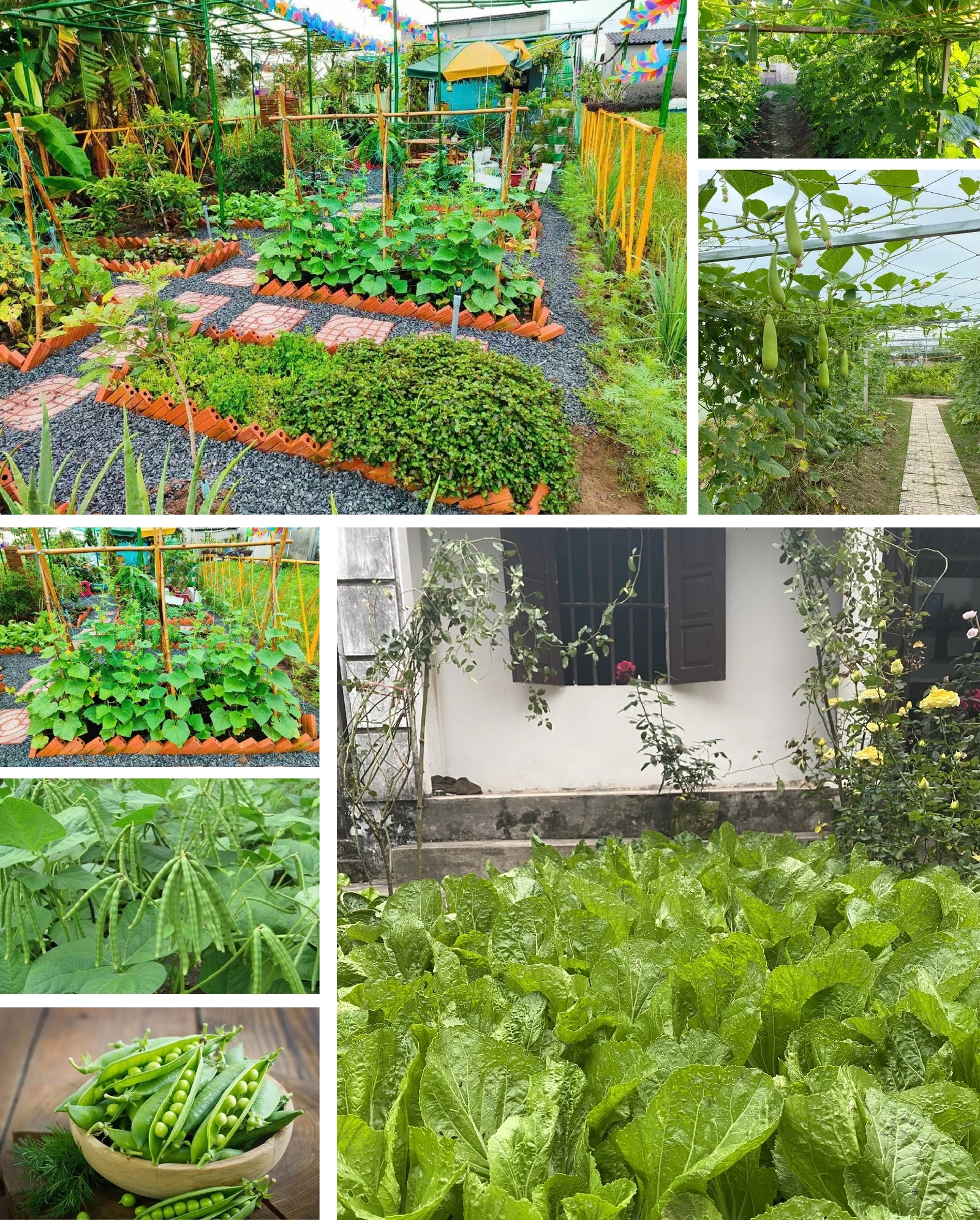 [E-Magazine]: ມີກິ່ນຫອມກັບລະດູການຂອງລົມເຢັນແລະນ້ໍາຕົກ