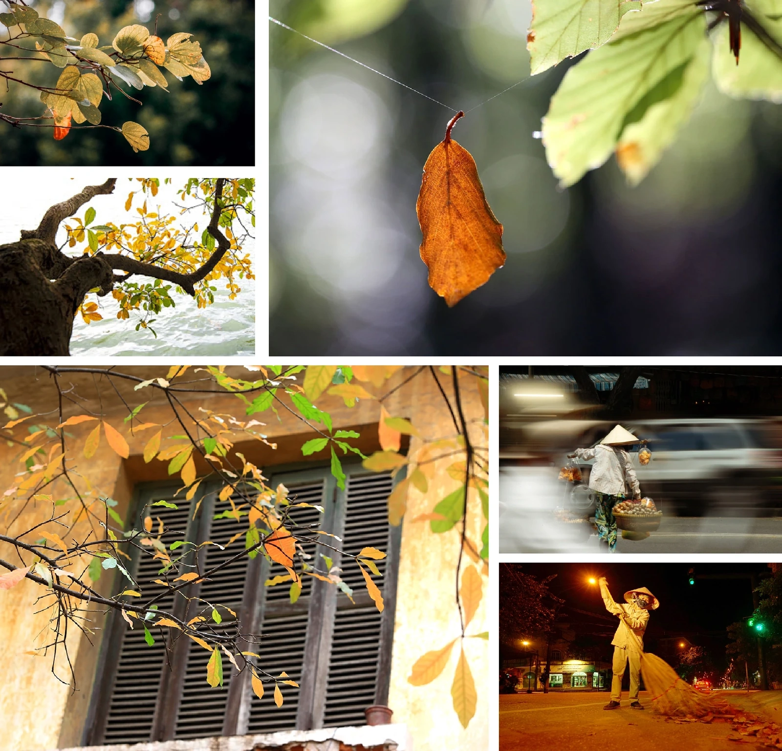 [E-Magazine]: ມີກິ່ນຫອມກັບລະດູການຂອງລົມເຢັນແລະນ້ໍາຕົກ