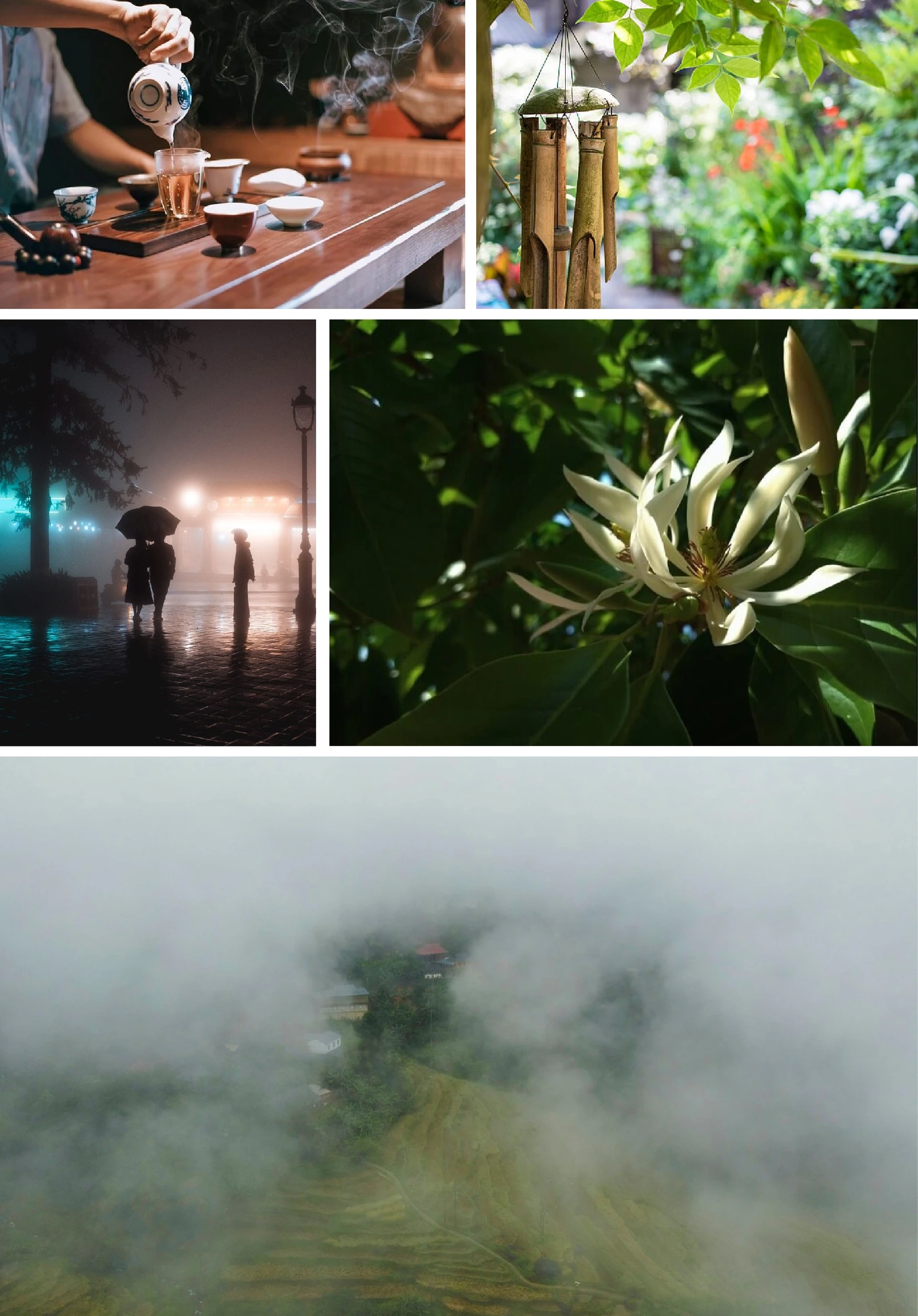 [E-Magazine]: ມີກິ່ນຫອມກັບລະດູການຂອງລົມເຢັນແລະນ້ໍາຕົກ