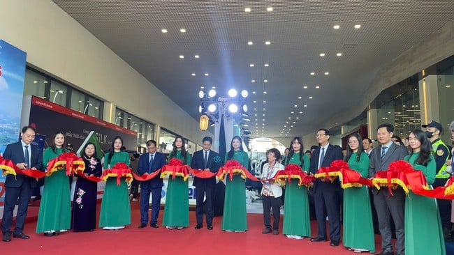 Associação Oftalmológica do Vietnã pioneira na aplicação de tecnologia à expertise - Foto 5. Hội nhãn khoa Việt Nam tiên phong ứng dụng công nghệ vào chuyên môn- Ảnh 5.